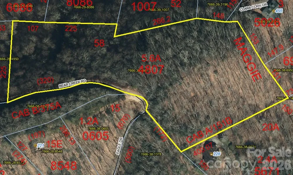 0000 Bear Creek Road Maggie Valley, NC 28721