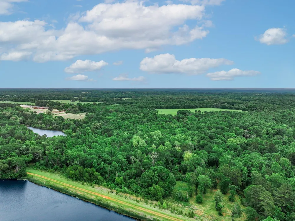 3732 Us Highway 84 Palestine, TX 75801