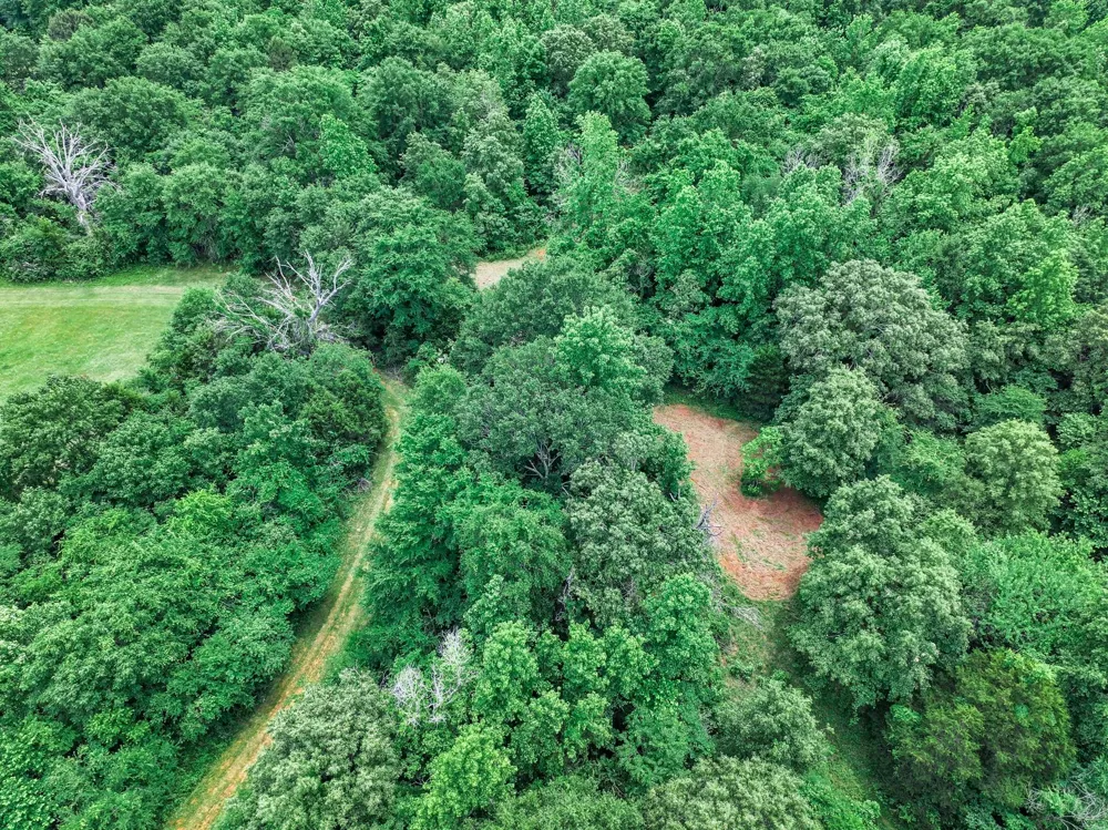 3732 Us Highway 84 Palestine, TX 75801