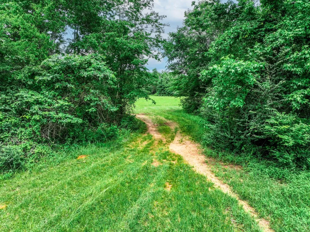 3732 Us Highway 84 Palestine, TX 75801