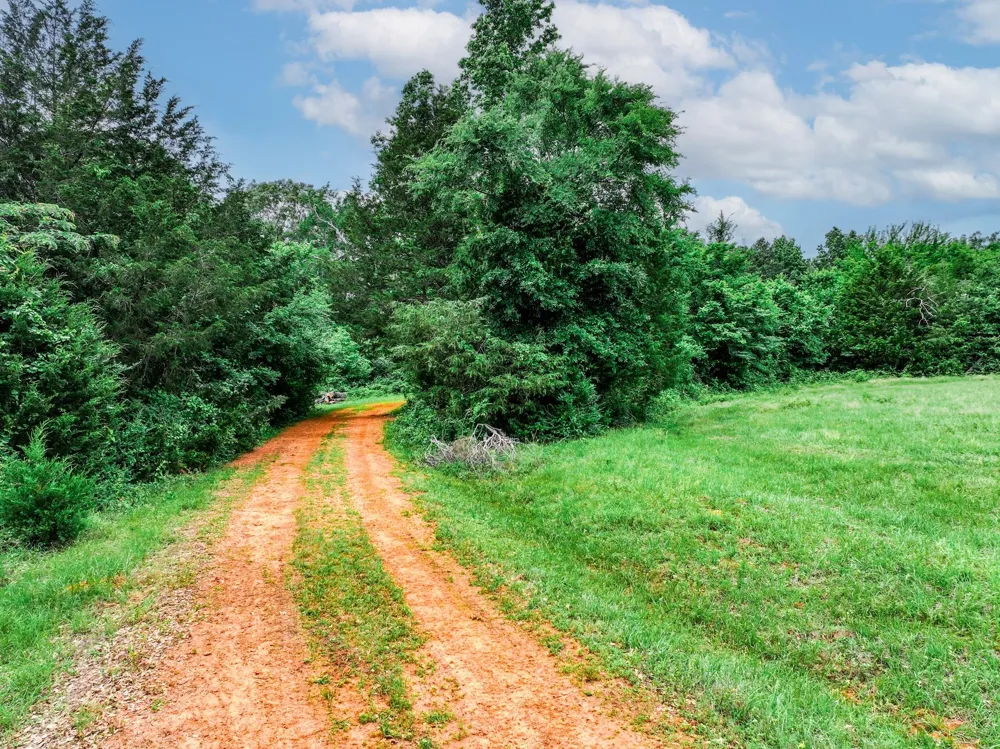 3732 Us Highway 84 Palestine, TX 75801