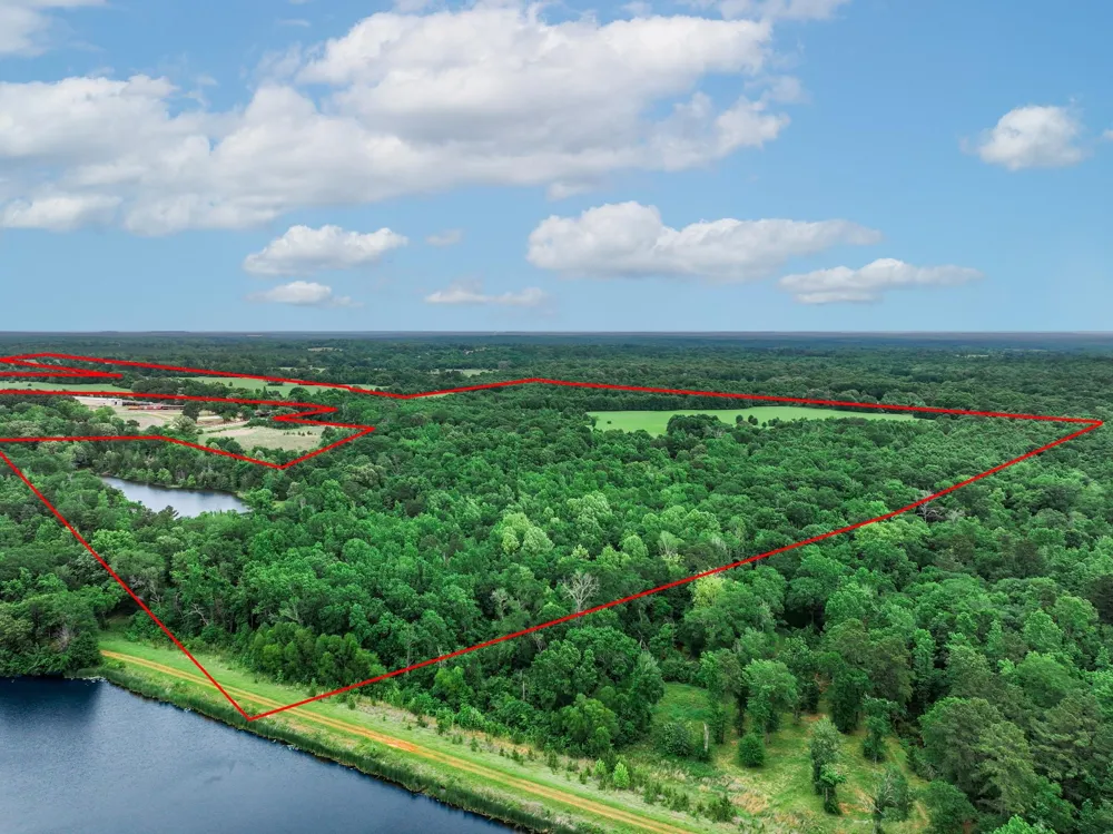 3732 Us Highway 84 Palestine, TX 75801