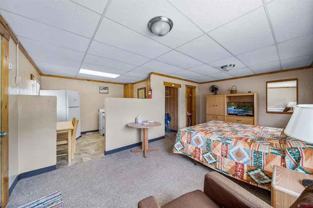 664 Greene Silverton, CO 81433