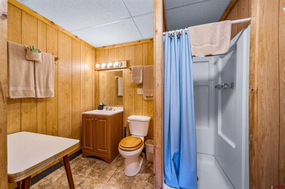 664 Greene Silverton, CO 81433