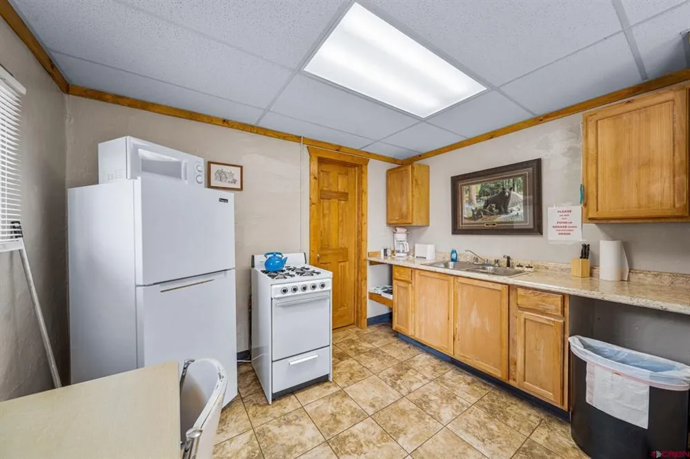 664 Greene Silverton, CO 81433