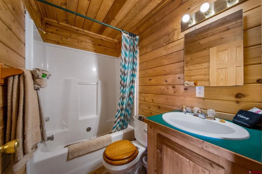 664 Greene Silverton, CO 81433