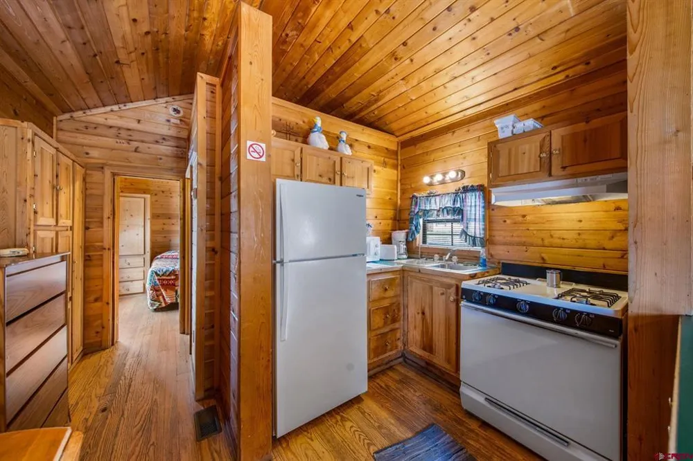 664 Greene Silverton, CO 81433