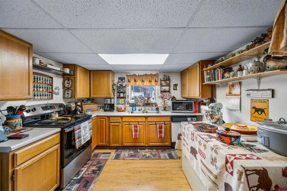 664 Greene Silverton, CO 81433