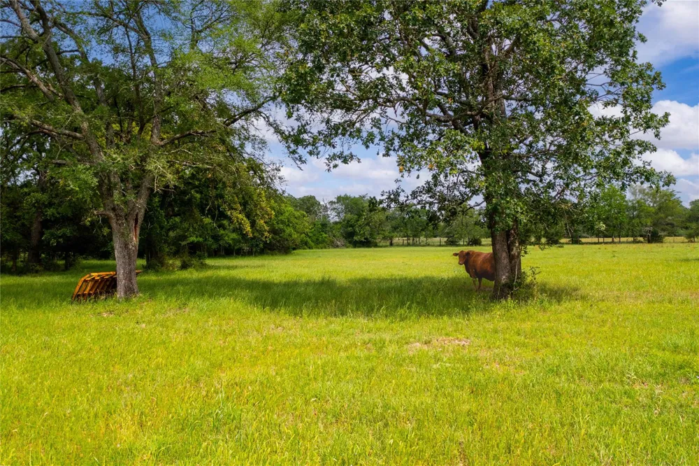128 Duke Road Bedias, TX 77831