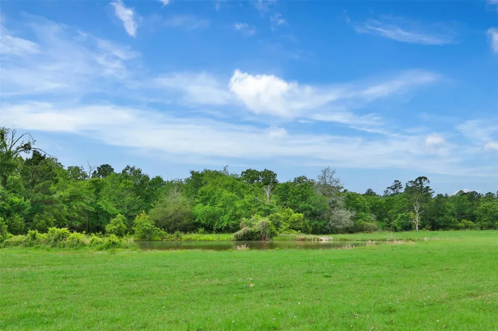 128 Duke Road Bedias, TX 77831