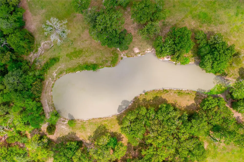 128 Duke Road Bedias, TX 77831