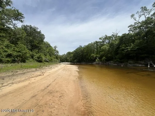 30.14 Acre Highway 57 Perkinston, MS 39573