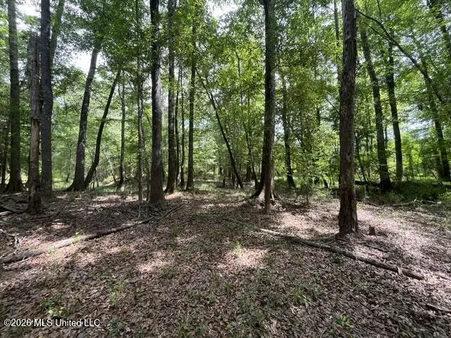 30.14 Acre Highway 57 Perkinston, MS 39573