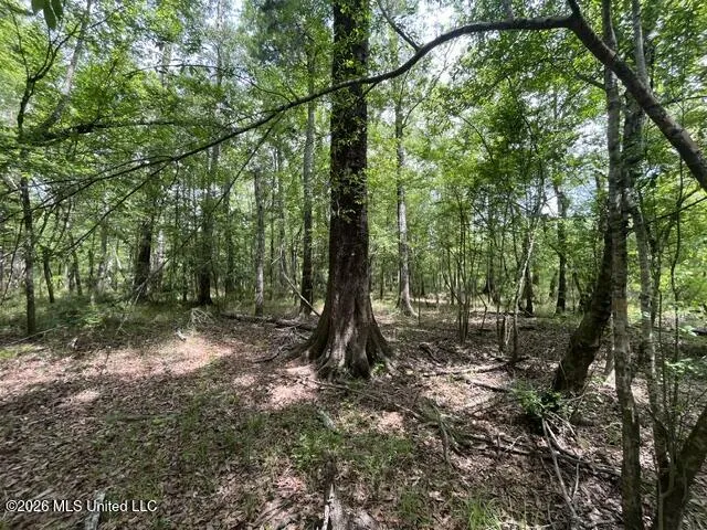 30.14 Acre Highway 57 Perkinston, MS 39573