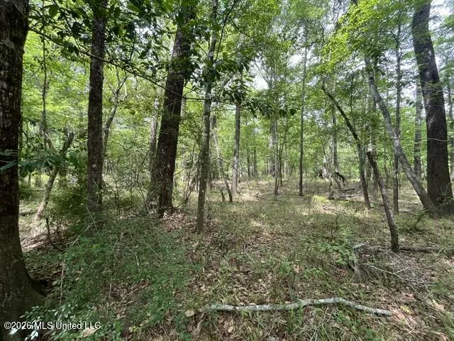 30.14 Acre Highway 57 Perkinston, MS 39573
