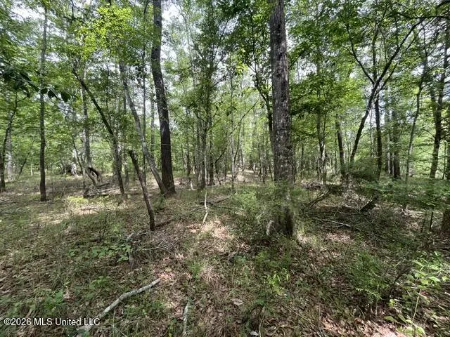 30.14 Acre Highway 57 Perkinston, MS 39573