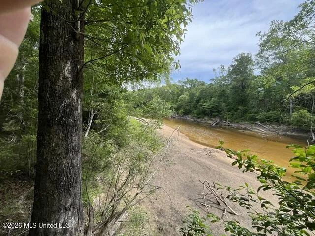 30.14 Acre Highway 57 Perkinston, MS 39573