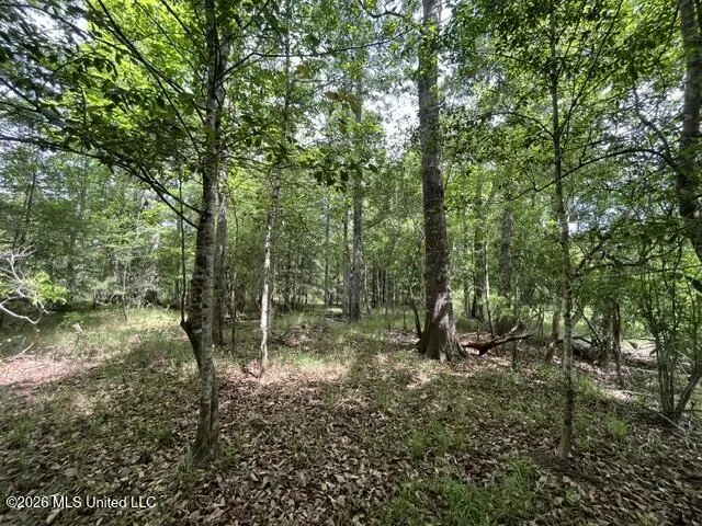 30.14 Acre Highway 57 Perkinston, MS 39573