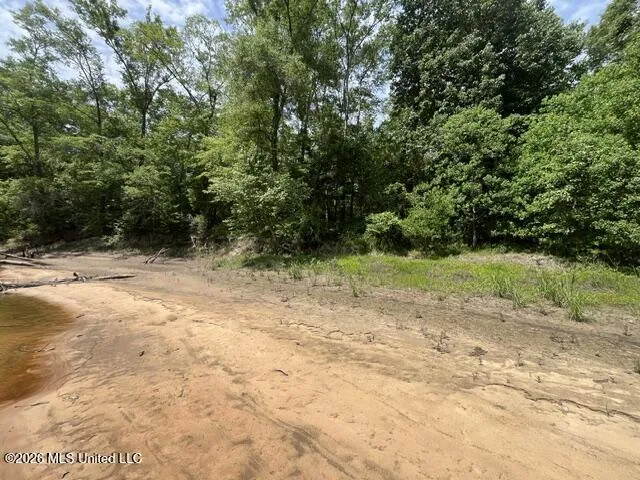 30.14 Acre Highway 57 Perkinston, MS 39573