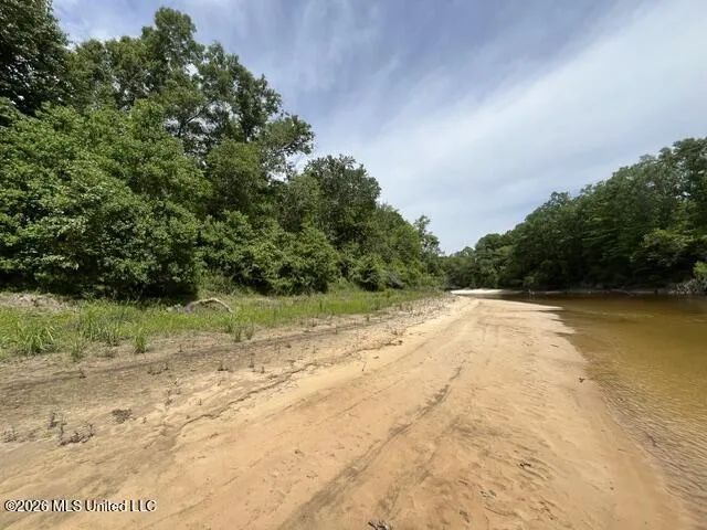 30.14 Acre Highway 57 Perkinston, MS 39573