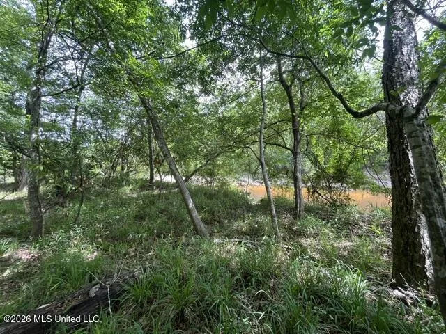 30.14 Acre Highway 57 Perkinston, MS 39573