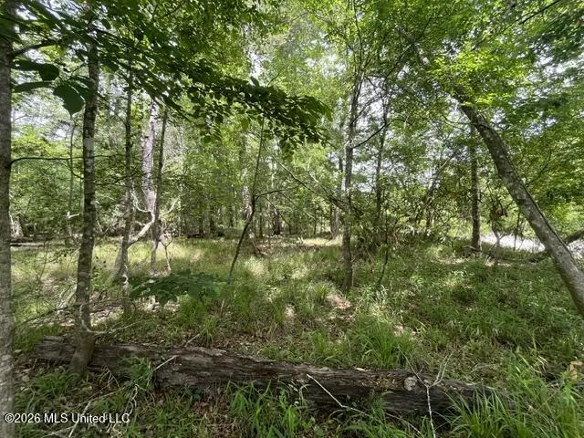 30.14 Acre Highway 57 Perkinston, MS 39573