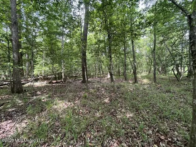 30.14 Acre Highway 57 Perkinston, MS 39573