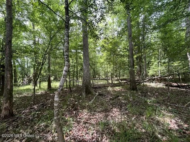 30.14 Acre Highway 57 Perkinston, MS 39573