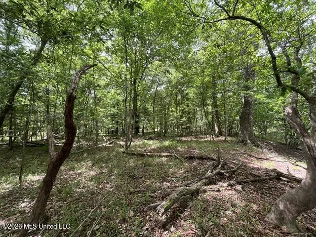 30.14 Acre Highway 57 Perkinston, MS 39573