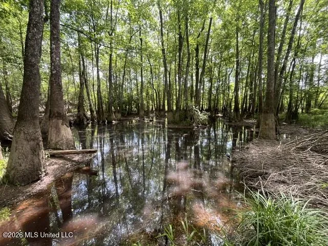 30.14 Acre Highway 57 Perkinston, MS 39573