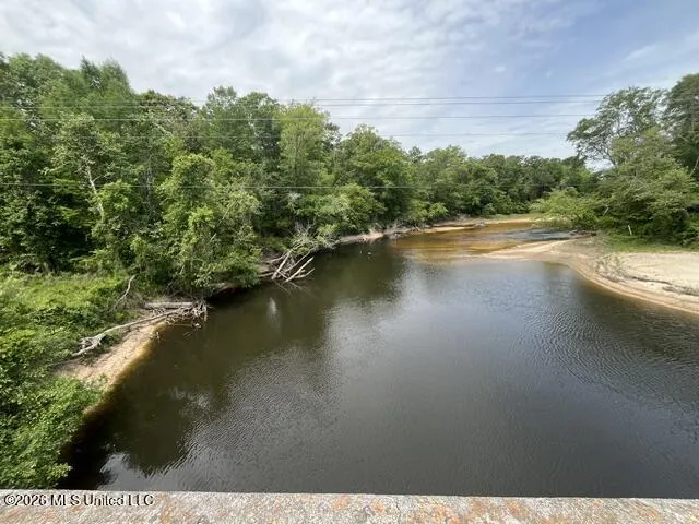 30.14 Acre Highway 57 Perkinston, MS 39573