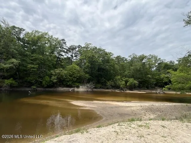 30.14 Acre Highway 57 Perkinston, MS 39573