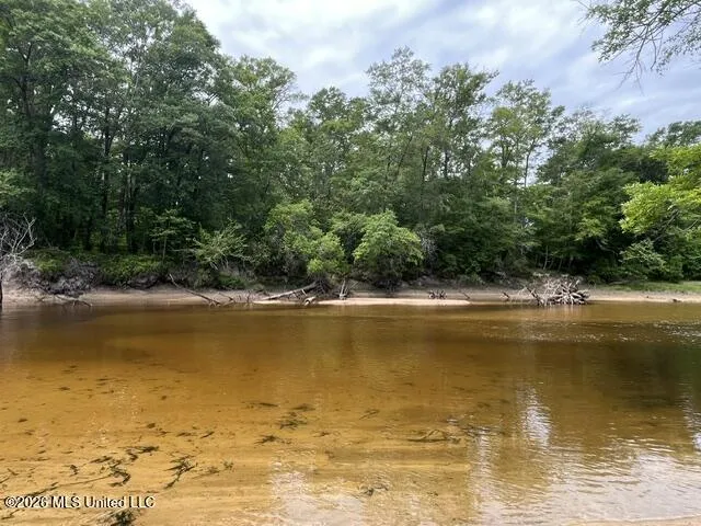 30.14 Acre Highway 57 Perkinston, MS 39573