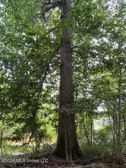 30.14 Acre Highway 57 Perkinston, MS 39573