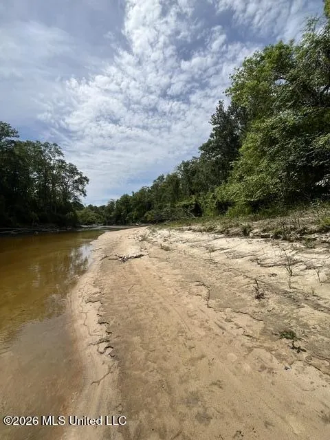 30.14 Acre Highway 57 Perkinston, MS 39573