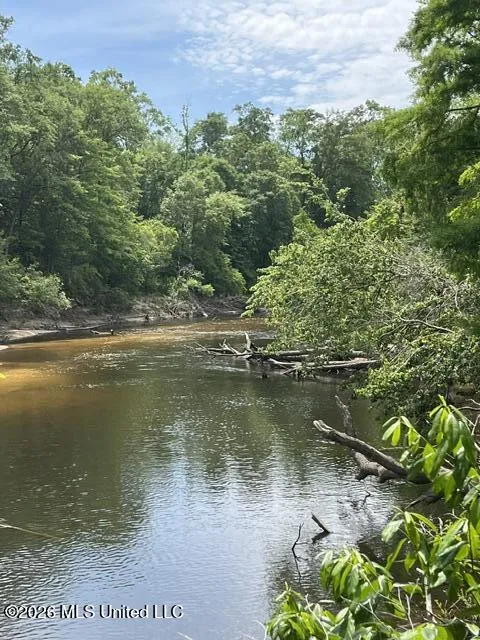 30.14 Acre Highway 57 Perkinston, MS 39573