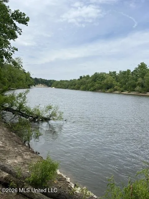 30.14 Acre Highway 57 Perkinston, MS 39573