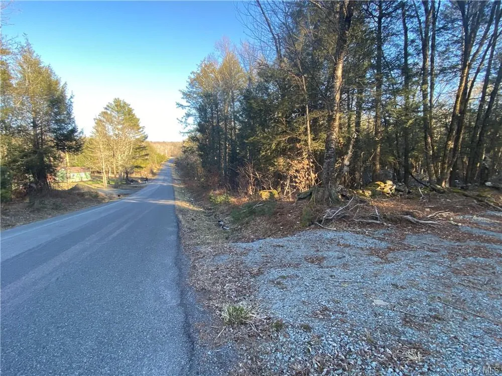 Friedman Road Harris, NY 12742
