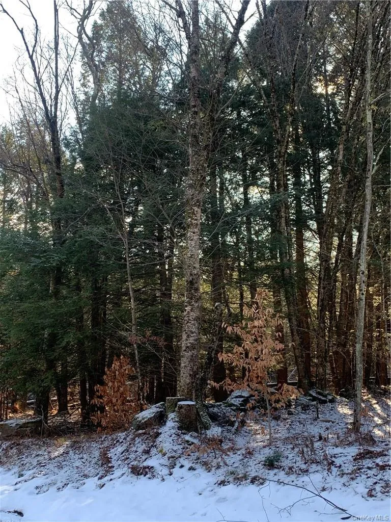 Friedman Road Harris, NY 12742