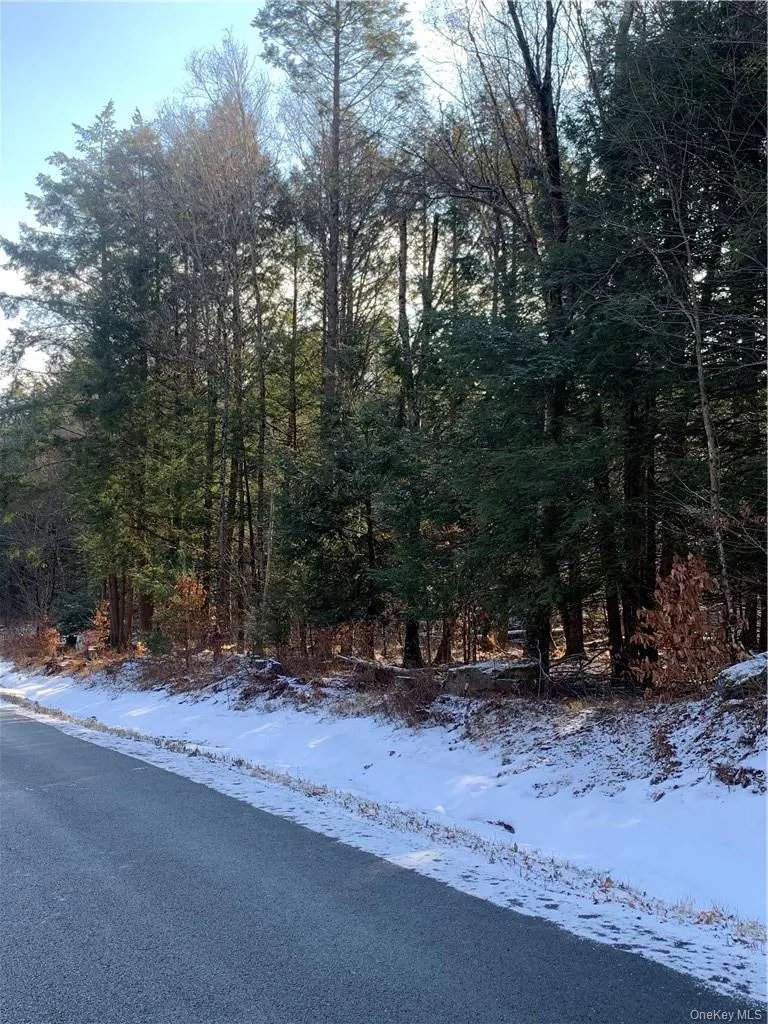 Friedman Road Harris, NY 12742