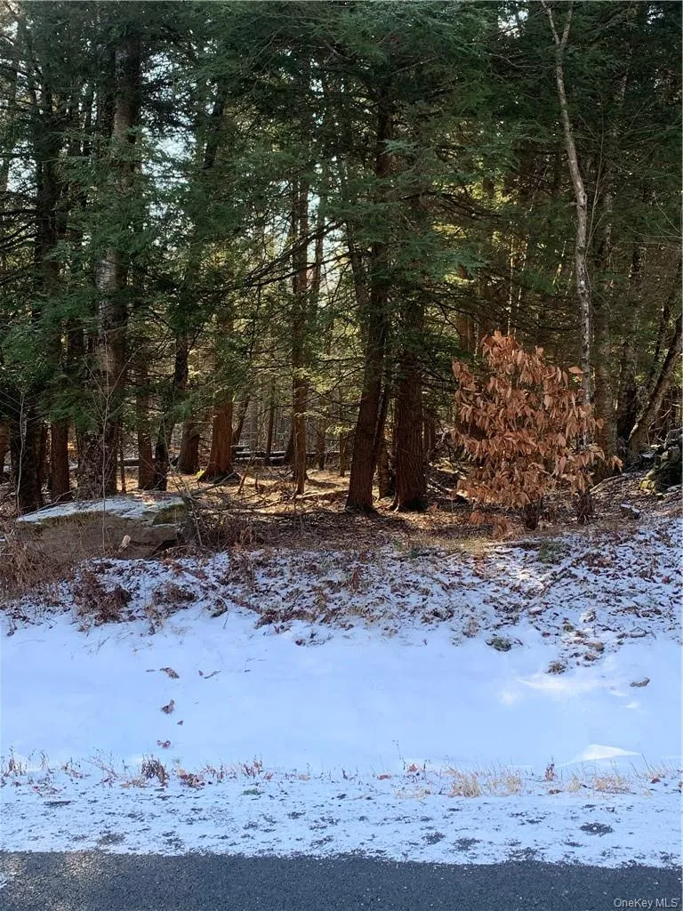 Friedman Road Harris, NY 12742