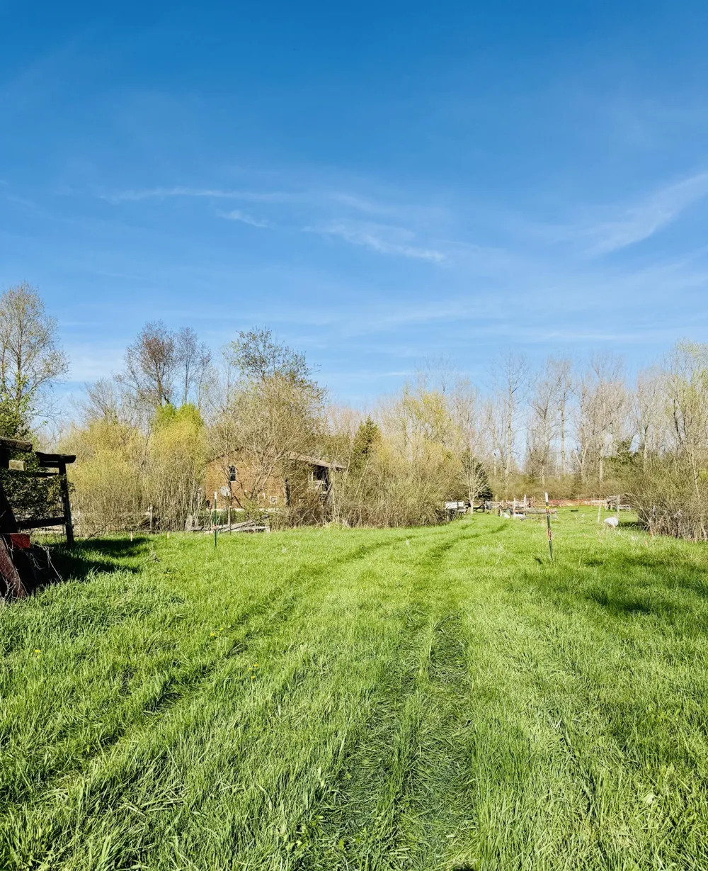 1525 S Poplar Road Custer Township, MI 49405
