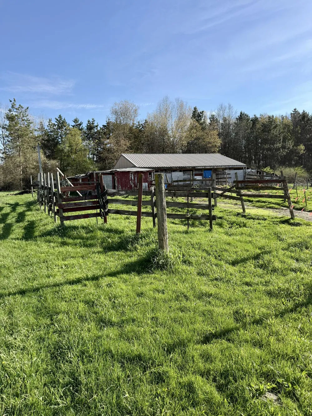 1525 S Poplar Road Custer Township, MI 49405
