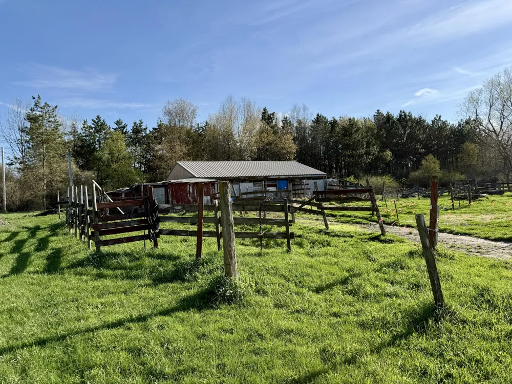 1525 S Poplar Road Custer Township, MI 49405