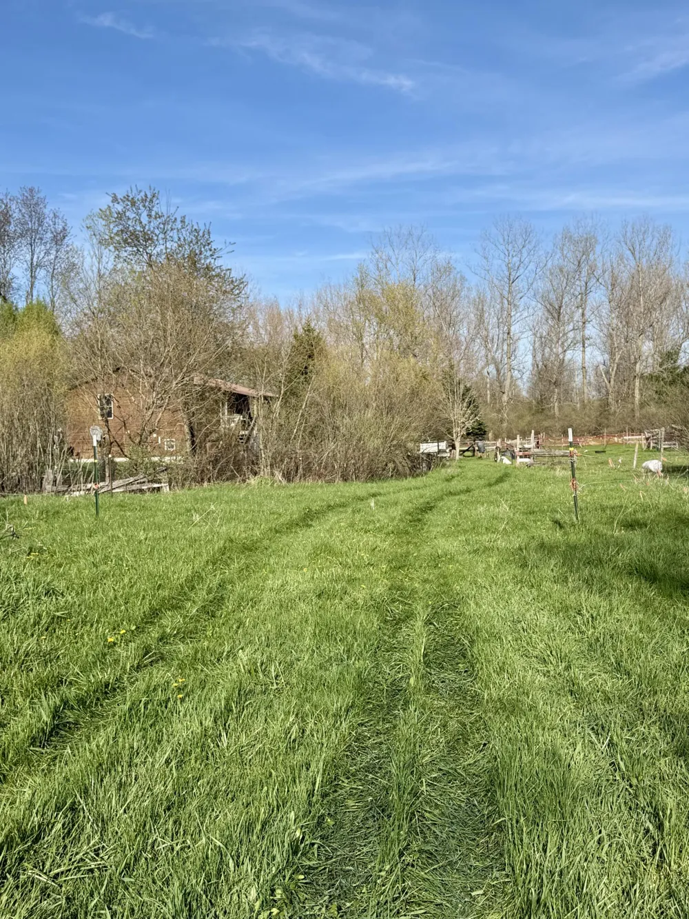 1525 S Poplar Road Custer Township, MI 49405