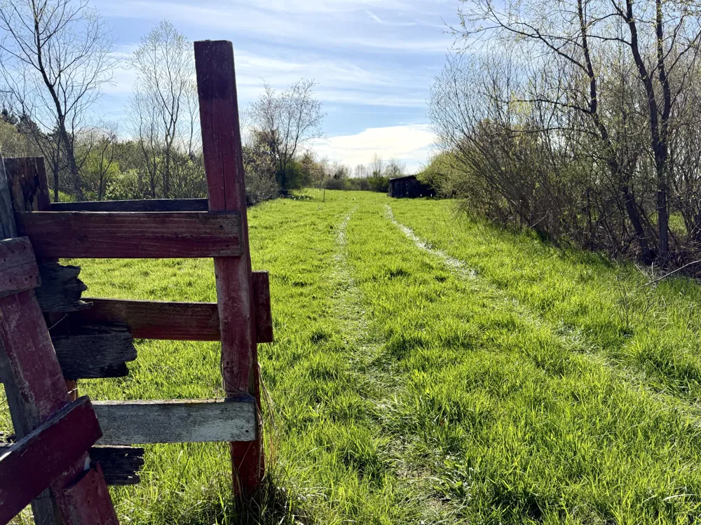 1525 S Poplar Road Custer Township, MI 49405