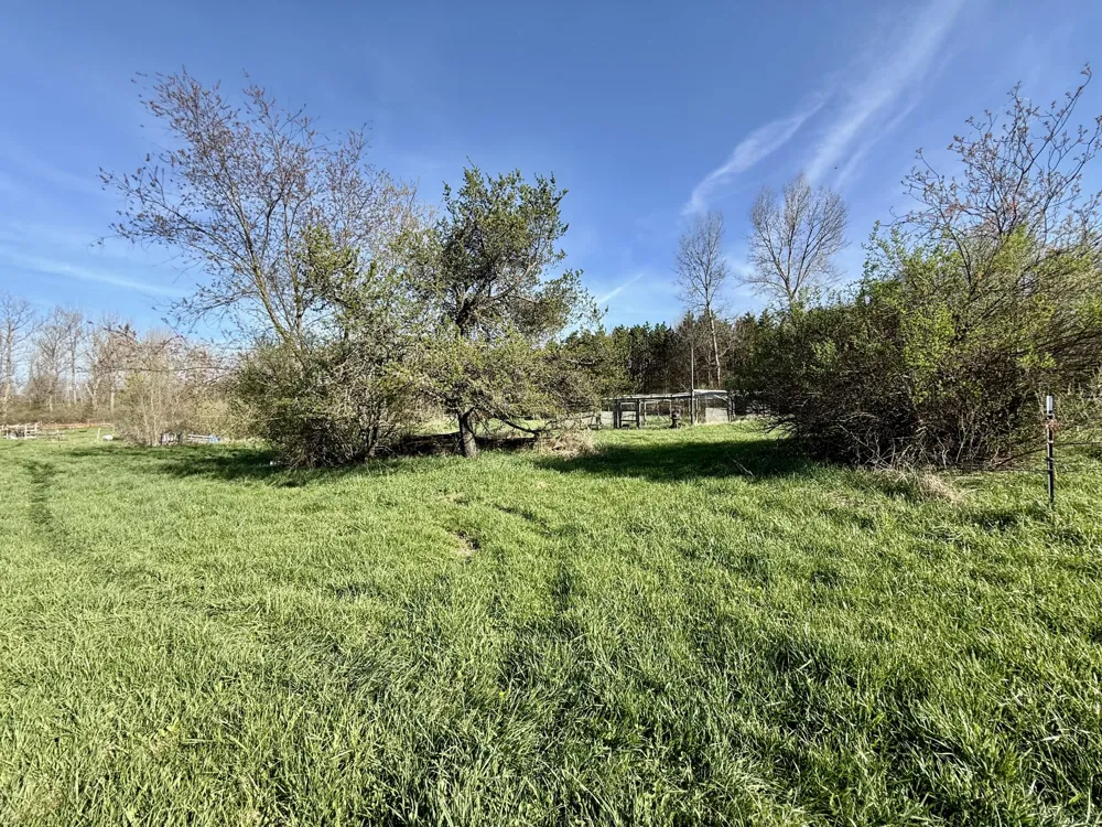 1525 S Poplar Road Custer Township, MI 49405