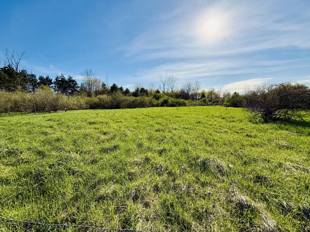 1525 S Poplar Road Custer Township, MI 49405