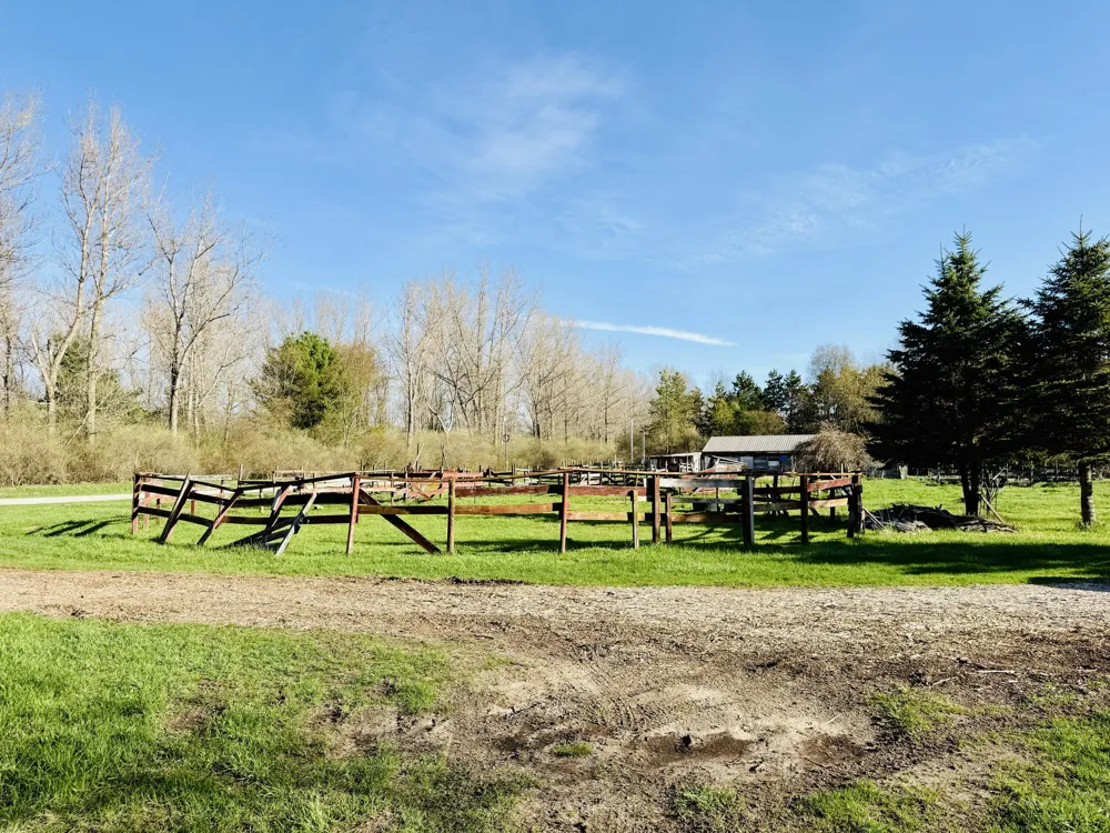 1525 S Poplar Road Custer Township, MI 49405