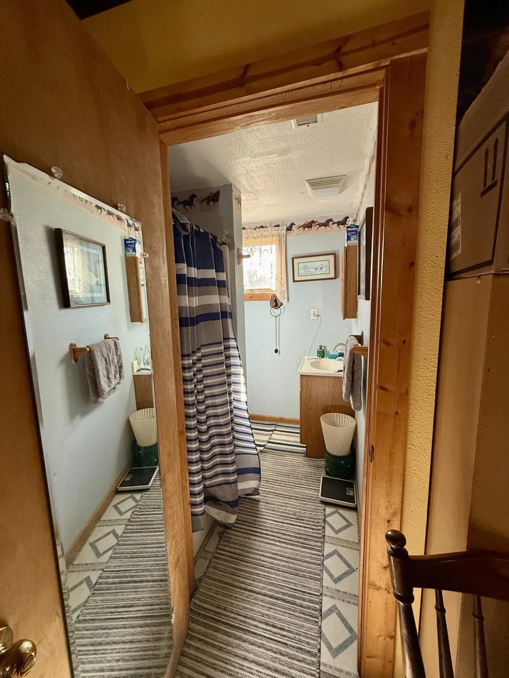 1525 S Poplar Road Custer Township, MI 49405